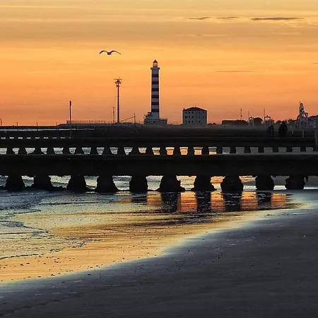 F2 - Viking Lido di Jesolo