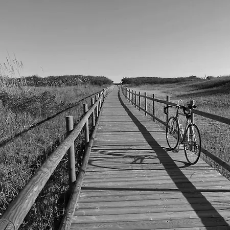 F2 - Viking Lido di Jesolo